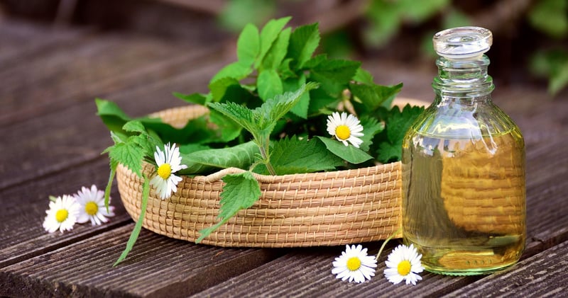 Healing Plant Selection