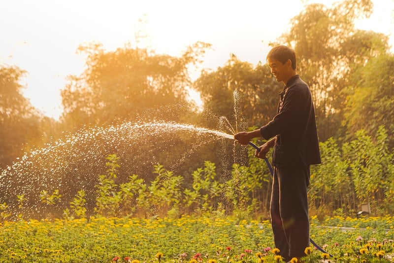 Mindful Gardening