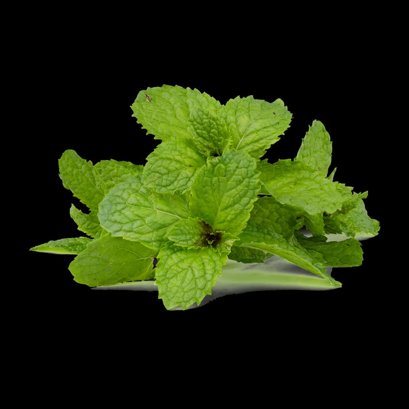 Peppermint